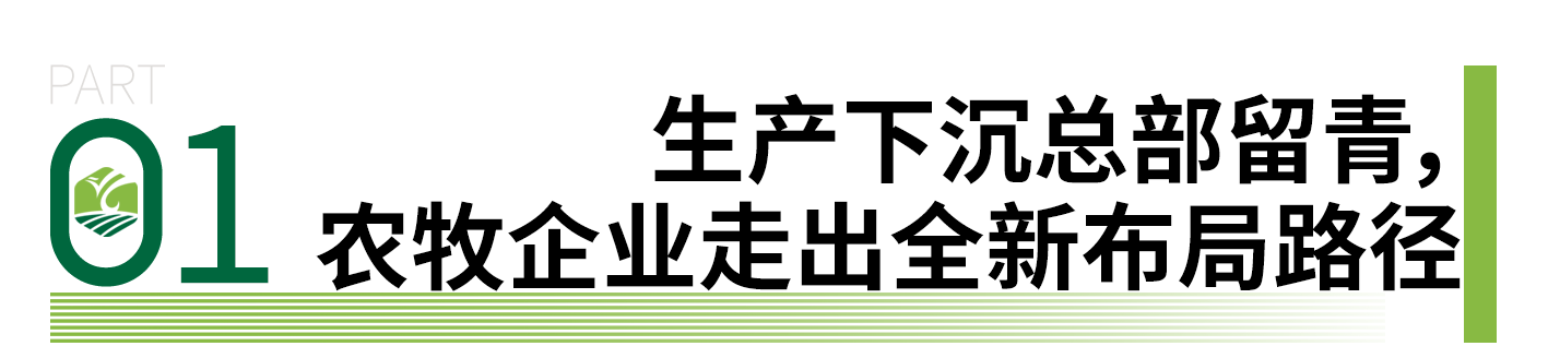 标题模板 - 副本.png